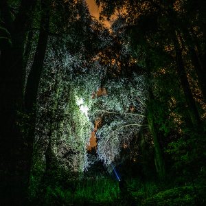 856 multifunkciós LED kézilámpa brutál fényerővel, 7 világítási móddal és IP44 vízálló vázzal - 500 méter hatótáv, power bank funkció (BBV) - Image 5